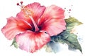 Watercolor pink hibiscus flower isolated on white background. Generative AI Royalty Free Stock Photo