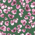 Watercolor pink orchids on green background pattern Royalty Free Stock Photo