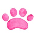 Watercolor pink paw print isolated on white