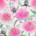 Watercolor pink peonies flowers. Beautiful peony floral seamless pattern Royalty Free Stock Photo