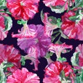 Watercolor pink petunia with leaves. Hand painted seamless pattern on a violet background..