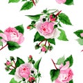 Watercolor pink rose flower. Floral botanical flower. Seamless background pattern. Royalty Free Stock Photo