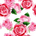 Watercolor pink rose flower. Floral botanical flower. Seamless background pattern. Royalty Free Stock Photo