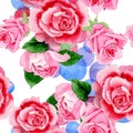 Watercolor pink rose flower. Floral botanical flower. Seamless background pattern. Royalty Free Stock Photo