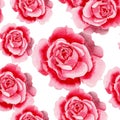 Watercolor pink rose flower. Floral botanical flower. Seamless background pattern. Royalty Free Stock Photo