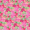 Watercolor pink rose peony flower floral seamless pattern texture background Royalty Free Stock Photo