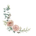 Watercolor pink roses and eucalyptus wreath. Hand painted floral vintage flowers, seeds, juniper and lambs ears isolated