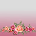 Watercolor pink roses. Floral border on a pink background.. Royalty Free Stock Photo