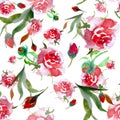 Watercolor pink roses seamless pattern. Floral illustration on white. Royalty Free Stock Photo