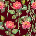 Watercolor pink roses seamless pattern texture background