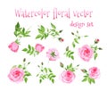 Watercolor pink roses vintage vector design set Royalty Free Stock Photo