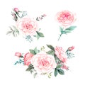 Watercolor pink roses vintage vector design set. Royalty Free Stock Photo