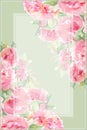 Watercolor pink tea rose peony flower floral composition frame border temple background