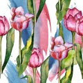Watercolor pink tulip flower. Floral botanical flower. Seamless background pattern. Royalty Free Stock Photo