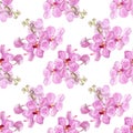 Seamless pattern with pink vanda orchid.