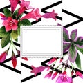 Watercolor pink weigela florida flowers. Floral botanical flower. Frame border ornament square.