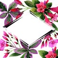 Watercolor pink weigela florida flowers. Floral botanical flower. Frame border ornament square.