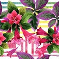 Watercolor pink weigela florida flowers. Floral botanical flower. Seamless background pattern.