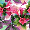 Watercolor pink weigela florida flowers. Floral botanical flower. Seamless background pattern.