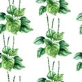 Watercolor plantain herbs. seamless pattern