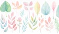 Watercolor plants illustration Royalty Free Stock Photo