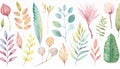 Watercolor plants illustration Royalty Free Stock Photo