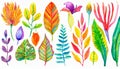 Watercolor plants illustration Royalty Free Stock Photo