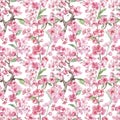 Watercolor plum blossom seamless pattern. Cherry flowers and tree branches print Royalty Free Stock Photo