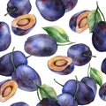 Watercolor plums