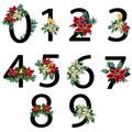 Watercolor poinsettia black numbers