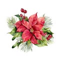 Watercolor poinsettia with Christmas floral decor. Hand painted traditional flower and plants: holly, mistletoe, berries Royalty Free Stock Photo