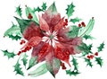 Watercolor poinsettia with Christmas floral decor. Hand painted traditional flower and plants