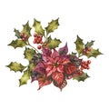 Watercolor poinsettia with Christmas floral decor. Hand painted traditional flower and plants: holly, mistletoe, berries Royalty Free Stock Photo