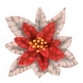 Watercolor Poinsettia. Christmas star. Christmas flower isolated on a white background Royalty Free Stock Photo