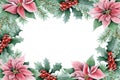 Watercolor poinsettia flowers, Christmas tree branches and red holly berries horizontal rectangular frame illustration Royalty Free Stock Photo