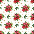 Watercolor poinsettia and golden snowflakes seamless pattern.