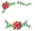 Watercolor poinsettia, green twig on a white background. Christmas star