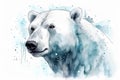 Watercolor polar bear portrait illustration on white background