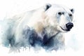 Watercolor polar bear portrait illustration on white background