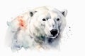 Watercolor polar bear portrait illustration on white background