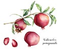 Watercolor pomegranate with berries set. Hand painted garnet fruit on branch with leaves isolated on white background