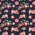 Watercolor pomegranate on the branch seamless pattern. Hand painted garnet fruit slice, berries and leaves isolated on