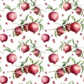 Watercolor pomegranate seamless pattern. Hand painted garnet fruit, berries, branch, leaves isolated on white background Royalty Free Stock Photo