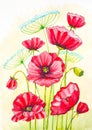 Watercolor poppies