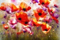 Watercolor poppies flowers background, abstract floral pattern
