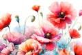 Watercolor poppies flowers background, abstract floral pattern