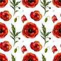 Watercolor poppies seamless pattern.