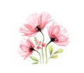 Watercolor Poppy bouquet. Three abstract red flowers and fresia isolated on white. Realistic hand painted artwork with