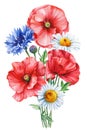 Watercolor Poppy, cornflower, chamomile flower, Bouquet with wildflowers, watercolor hand drawing floral design element Royalty Free Stock Photo