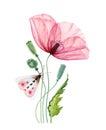 Watercolor poppy flower with moth. Big transparent pink flower with colorful butterfly. Hand painted print ready